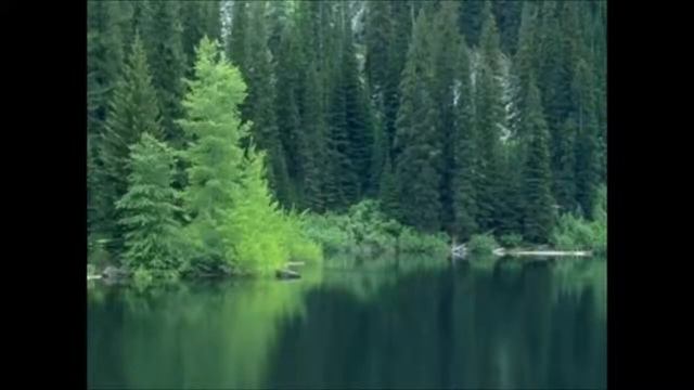 Ordunun Dereleri Ney смотреть онлайн