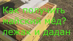Как получить майский мёд в лежаке и Дадан на 12 рамок? Как спасти безматочную семью весной?