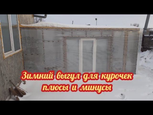 Зимний выгул для кур. Плюсы и минусы. А нужен ли зимник для кур? смотреть онлайн