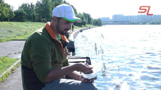 Ловля в Камышах