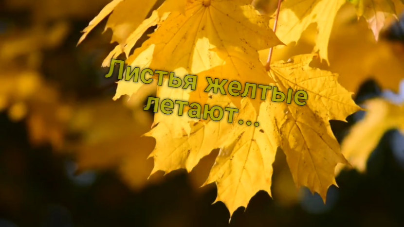 Листья желтые летают...