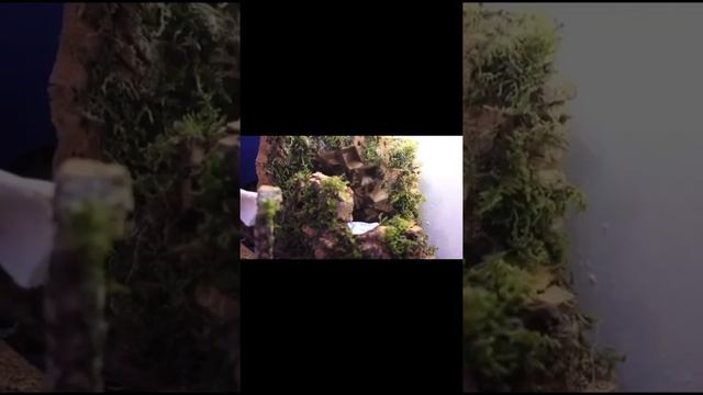 Новогодняя Испания Кацендорн Полина смотреть онлайн