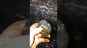 Lada Granta пропало давление масла конденсат в поддоне