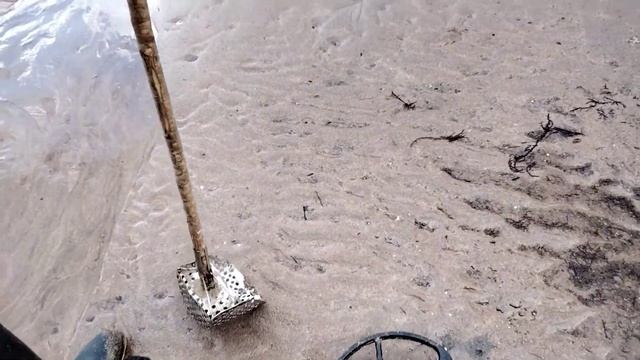 Domingo lluvioso de detección. Tianxun Tx850 смотреть онлайн