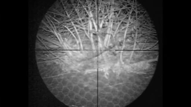 Pest Control with Air Rifles - Rat Shooting - Bro Goes Ratting. смотреть онлайн