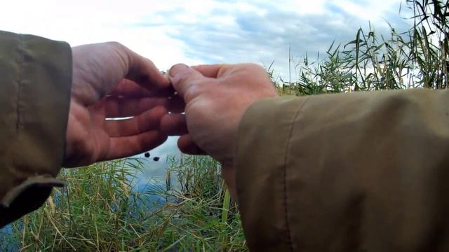 Рыбалка на поплавок Бешеный клев карася на серый хлеб с чесноком рыбалка осенью смотреть онлайн