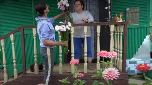 6 соток 17 августа 2024 года. Хроника.