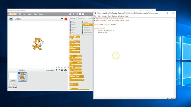 Python Loops 3 while True смотреть онлайн