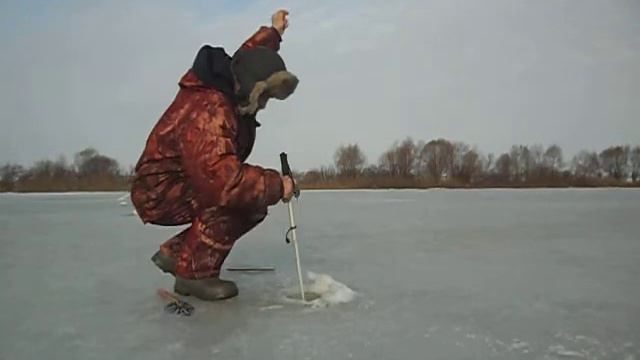 Зимняя донка . Лещ 2.4 кг смотреть онлайн