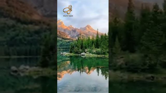 Мишари Рашид сура-43 Аз-Зухруф (Украшения) #kuran#zakirnaik #kuran#sunnah#коран