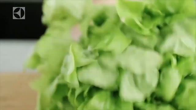 Electrolux Refrigerators - Electrolux Royale, Italia, Florence Series - 10 Years Compressor Warrant