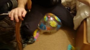 Лопаю мячик (sit pop beach ball)