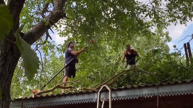 Ремонт крыши/Спилили деревья#ANZHELA_KHIZ смотреть онлайн