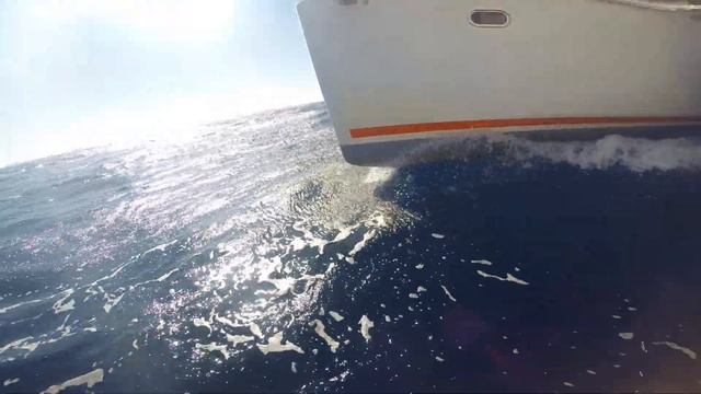 Парусный катамаран в адриатике смотреть онлайн