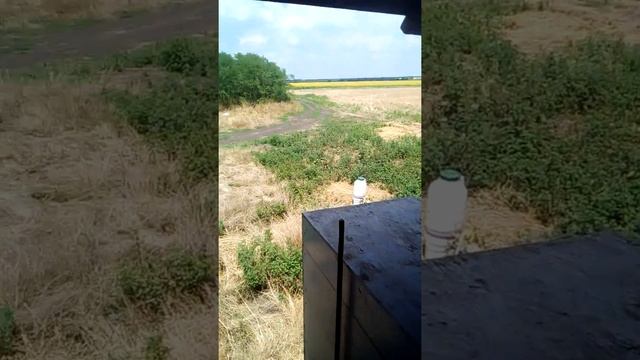 Кордован осмотр семьи (добрая и спокойная пчела ) смотреть онлайн