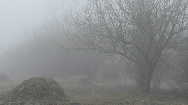 Ранняя Весна В Селе смотреть онлайн