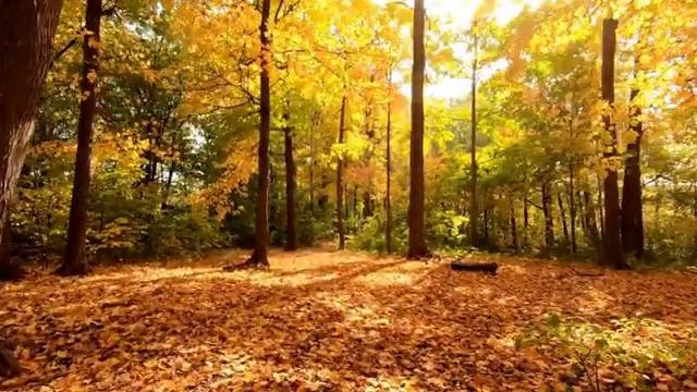 Музыка для сна фортепиано. смотреть онлайн