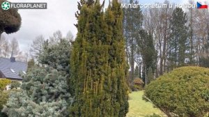 ?Уникальный сад редкостей Miniarboretum u Holubů в Чехии. Февраль
