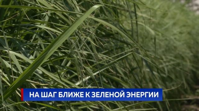 НА ШАГ БЛИЖЕ К ЗЕЛЕНОЙ ЭНЕРГИИ смотреть онлайн