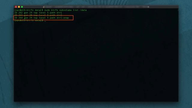 Btrfs Subvolumes and Snapshots on Oracle Linux смотреть онлайн