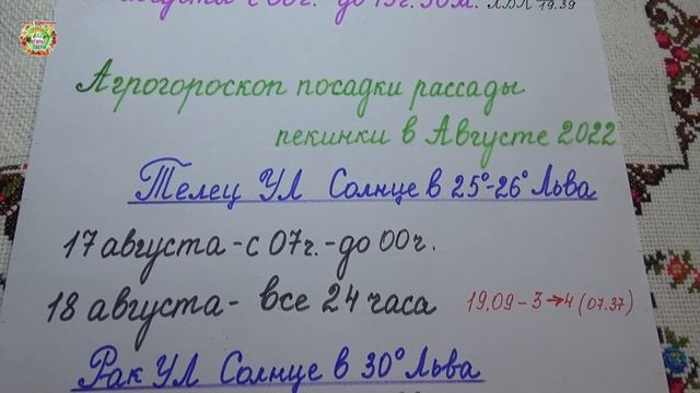 Агрогороскоп посадки пекинской капусты в августе 2022 года смотреть онлайн