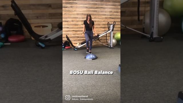 BOSU BALL BALANCE CHALLENGE смотреть онлайн