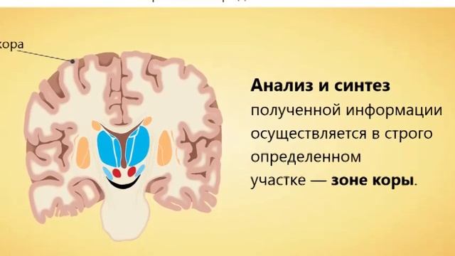 Жуматаева Мадина Кайратовна, учитель биологии смотреть онлайн