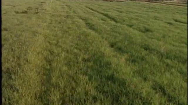 Akhenaten: The Rebel Pharaoh Part 1 of 6 смотреть онлайн