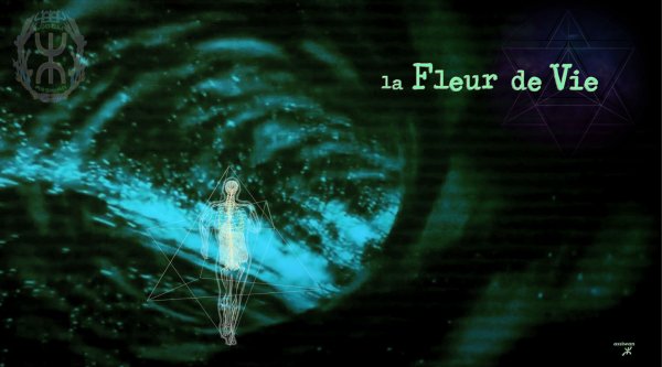 la Fleur de Vie