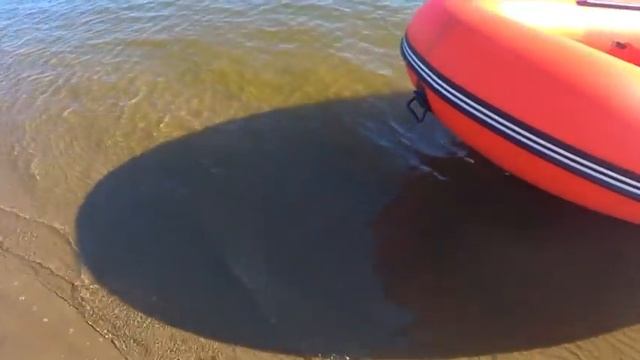 Замеры скорости и оборотов.Лодка Hydra Delta 350 + Suzuki DT 9.9(15)AS + Винт 3x9-1/4x11R смотреть онлайн