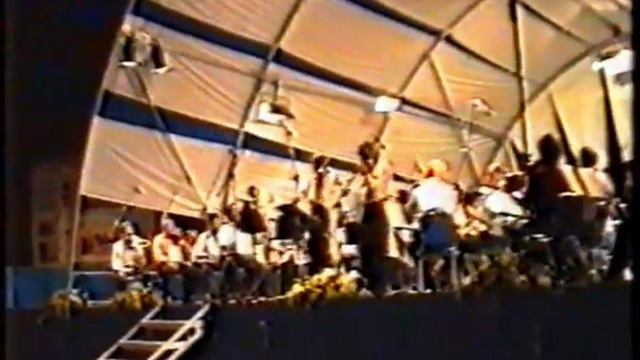Pinchas Zukerman & Werner von Schnitzler Bach Double Concerto 1st mov смотреть онлайн