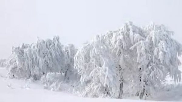 Борис Штоколов - Степь да степь кругом