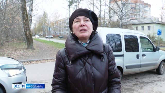 Подробности о вырубке березовой рощи Заволгой: публичные слушания были, в них участвовал 1 человек смотреть онлайн