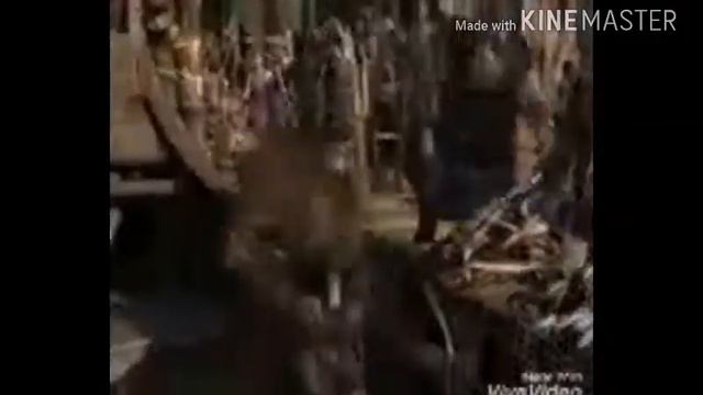 Как приручить дракона клип монстр смотреть онлайн