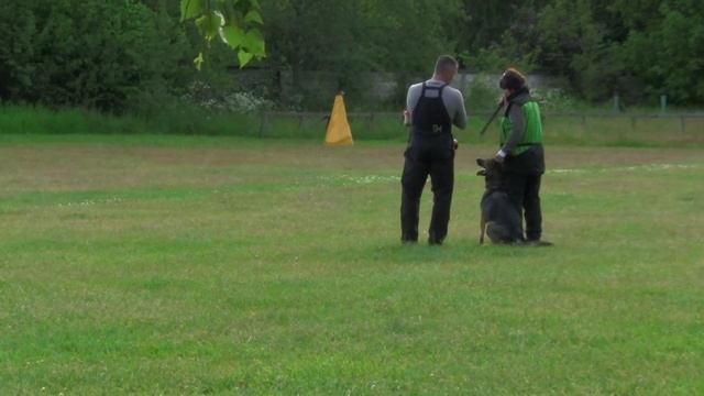 Ясна Из Розы Ветров - IPO - 3, protection смотреть онлайн