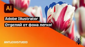 Как вырезать изображение (объект) в Adobe Illustrator. Как отделить объект от фона.