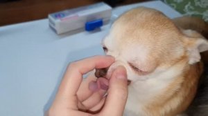 Гель OROZYME - результат после 2,5 месяцев