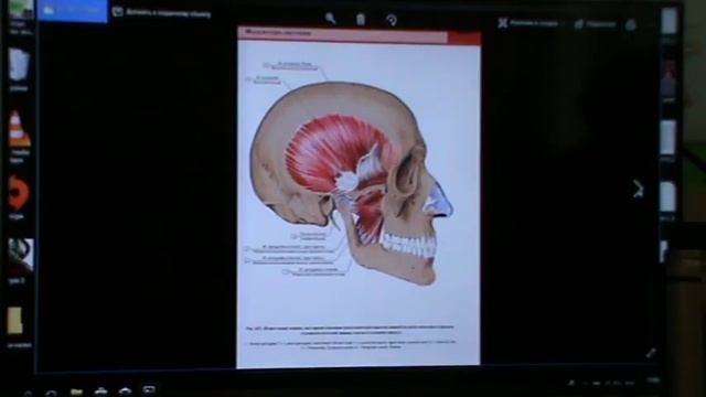 Анатомия и биомеханика региона ГОЛОВА _ ШЕЯ. день 4 ч. 2 смотреть онлайн