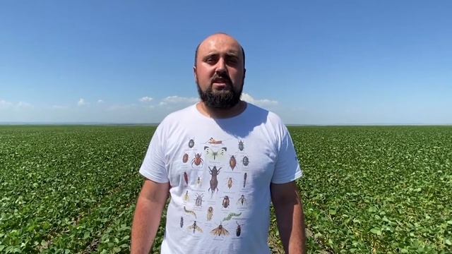 Самарская область. Аква. Как это работает. смотреть онлайн