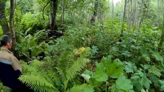 Потомки Посейдона/Задержание на реке Ясынги смотреть онлайн