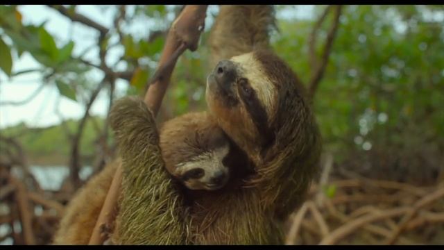 Земля- Один потрясающий день Дублированный трейлер в озвучке Николая Дроздова смотреть онлайн