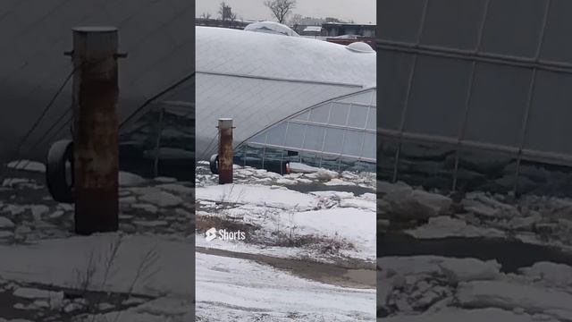 Начал тонуть Ресторан рыба Кит как это было #Shorts #река смотреть онлайн