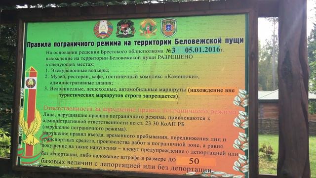 БЕЛОРУССИЯ, БРЕСТСКАЯ КРЕПОСТЬ, ЕДИМ В БЕЛОВЕЖСУЮ ПУЩУ смотреть онлайн