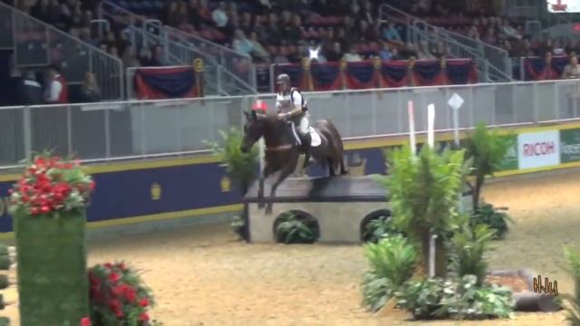 HorseJunkiesUnited.com - Ian Roberts on Faolan Indoor Eventing Royal 2013 смотреть онлайн