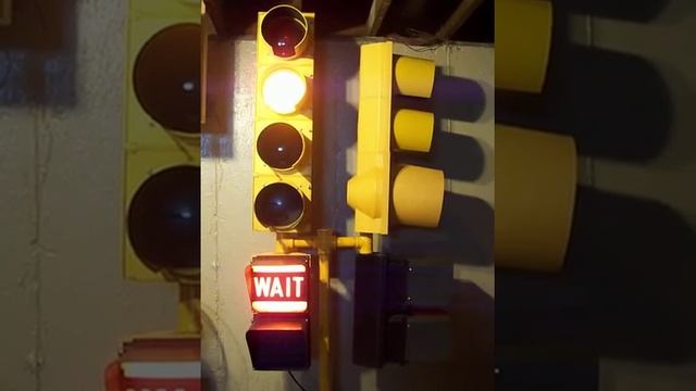 Traffic light the Poly Project смотреть онлайн