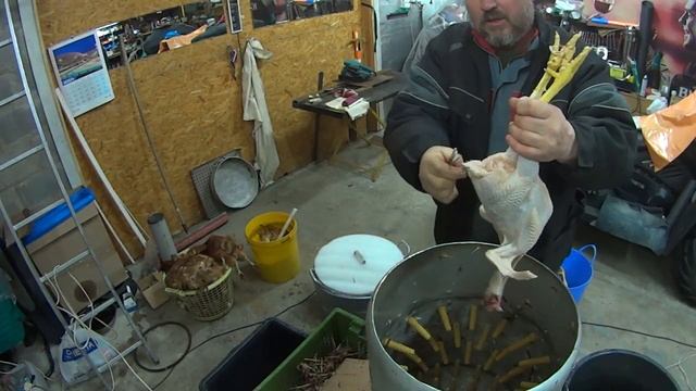 Как быстро ощипать курицу. смотреть онлайн