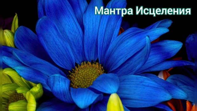 ИСЦЕЛЕНИЕ ?Ра Ма Да Са ?AJEET смотреть онлайн