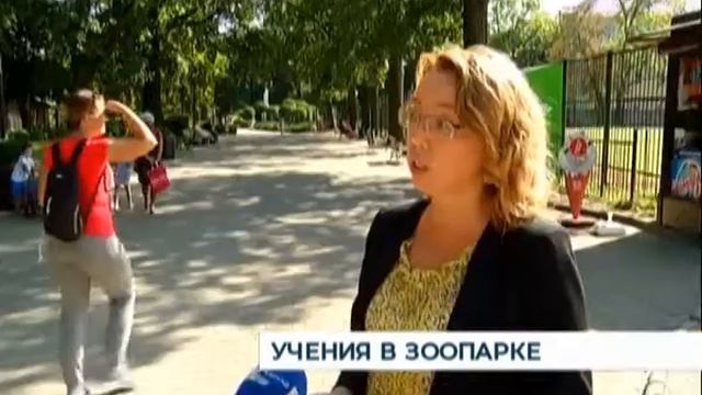 Учения в зоопарке смотреть онлайн