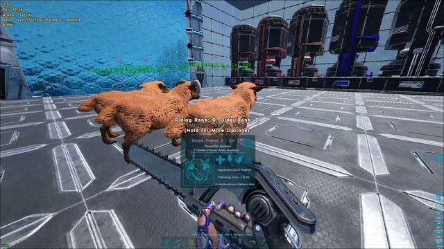 Ark Official Informational Gift: Farming Pelt and Mutton!!! смотреть онлайн