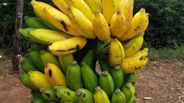 2022-10-30 смотреть онлайн